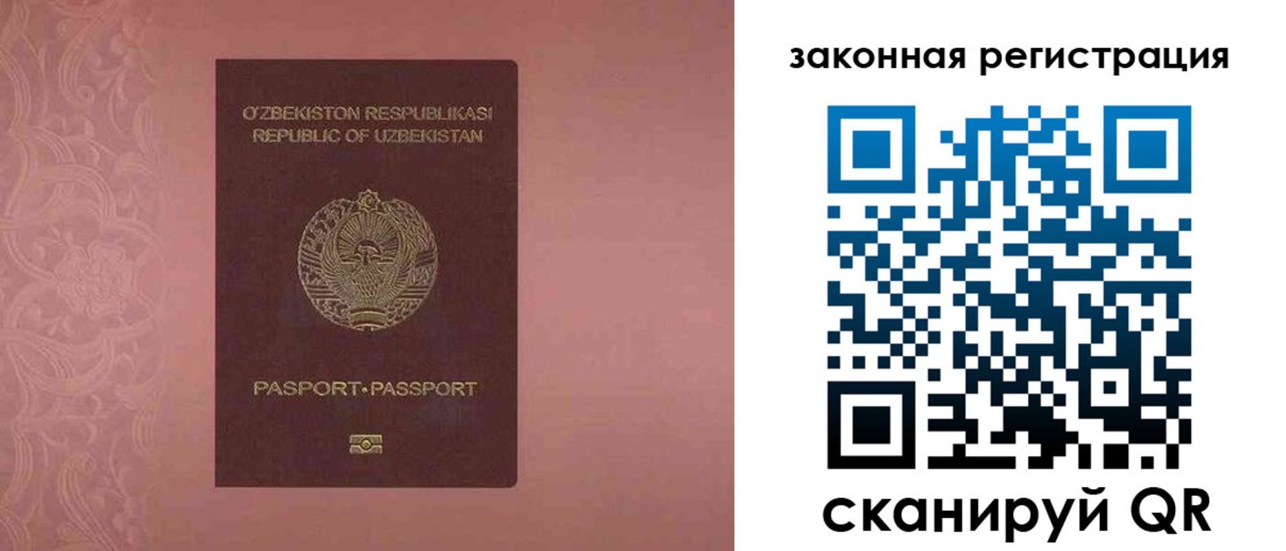 прописка регистрация в Заринске